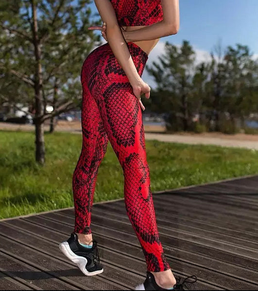 Red Snake skin Printed push up fitness leggings - kdb solution