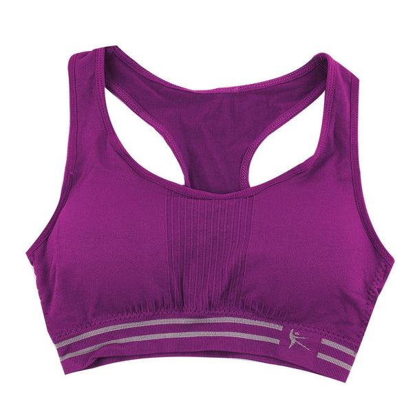 Absorb Sweat Quick Drying Professional Sports Bra, Fitness Padded Stretch Workout Top Note*2-3 weeks for delivery - kdb solution
