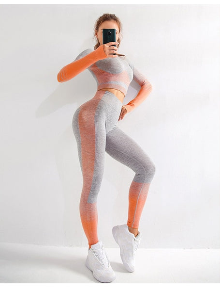 Seamless 2Pcs Yoga Set Long Sleeve Top High Waist Control Sport Leggings Gym Sport Suit - kdb solution
