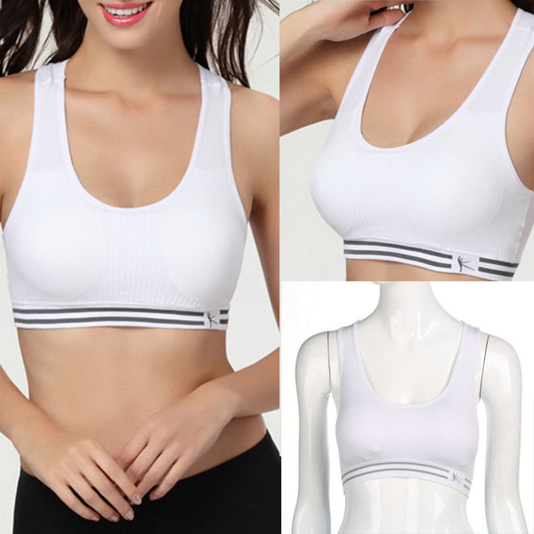 Quick Drying Professional Sports Bra, Padded Stretch Workout Top - kdb solution