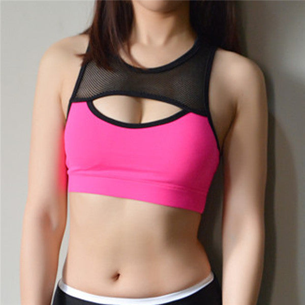 2017 New Women's Stretch Padded Sports Bras Push Up Padded Bra Breathable - kdb solution